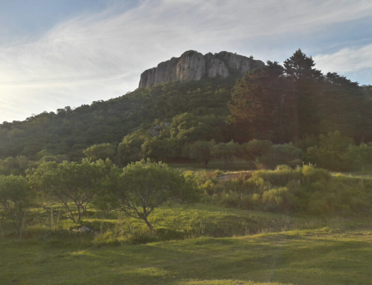 Proyecto de Regeneración de Monte Nativo  en Grutas de Salamanca
